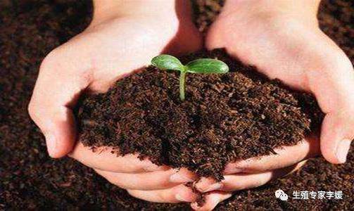 内膜问题导致不孕,内膜炎导致不孕怎么治疗