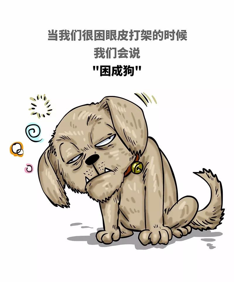 狗年一定旺的狗狗,狗年了你知道狗的种类有哪些吗