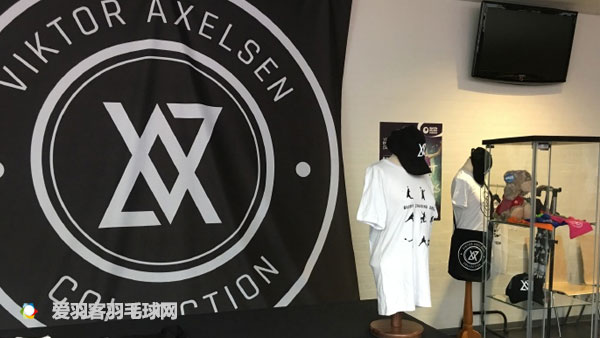 李永波品牌羽毛球拍,李永波羽毛球拍s81