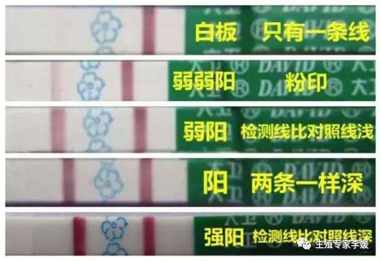 刚生育的女性要注意什么,有生育要求的女性