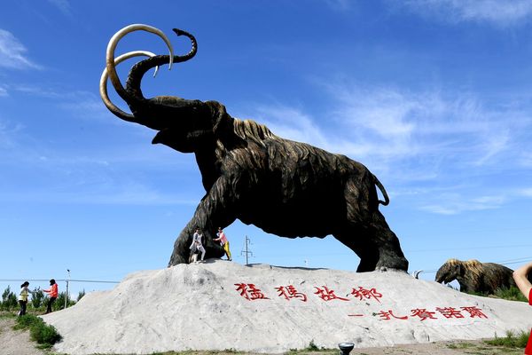 飞机旅游呼伦贝尔草原攻略,呼伦贝尔草原5日环线游