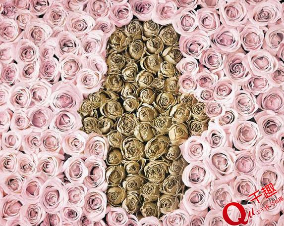 日本卫生巾广告创意,卫生巾最有吸引力的广告语