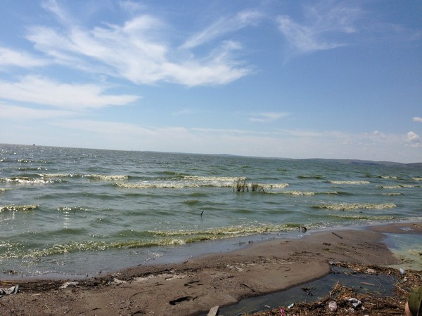 飞机旅游呼伦贝尔草原攻略,呼伦贝尔草原5日环线游