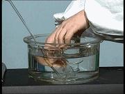 物理大师化学方程式,物理化学知识点方程式