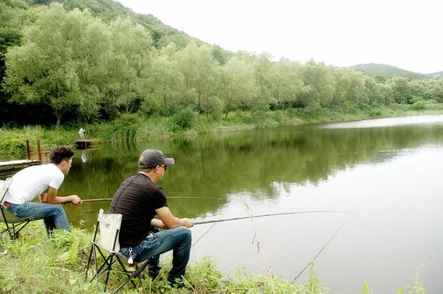 夏季巧钓鲢鳙鱼，让你鱼获更轻松！