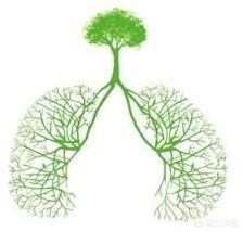 支气管扩张影响寿命吗能治好吗,支气管扩张能治愈吗什么地方能治