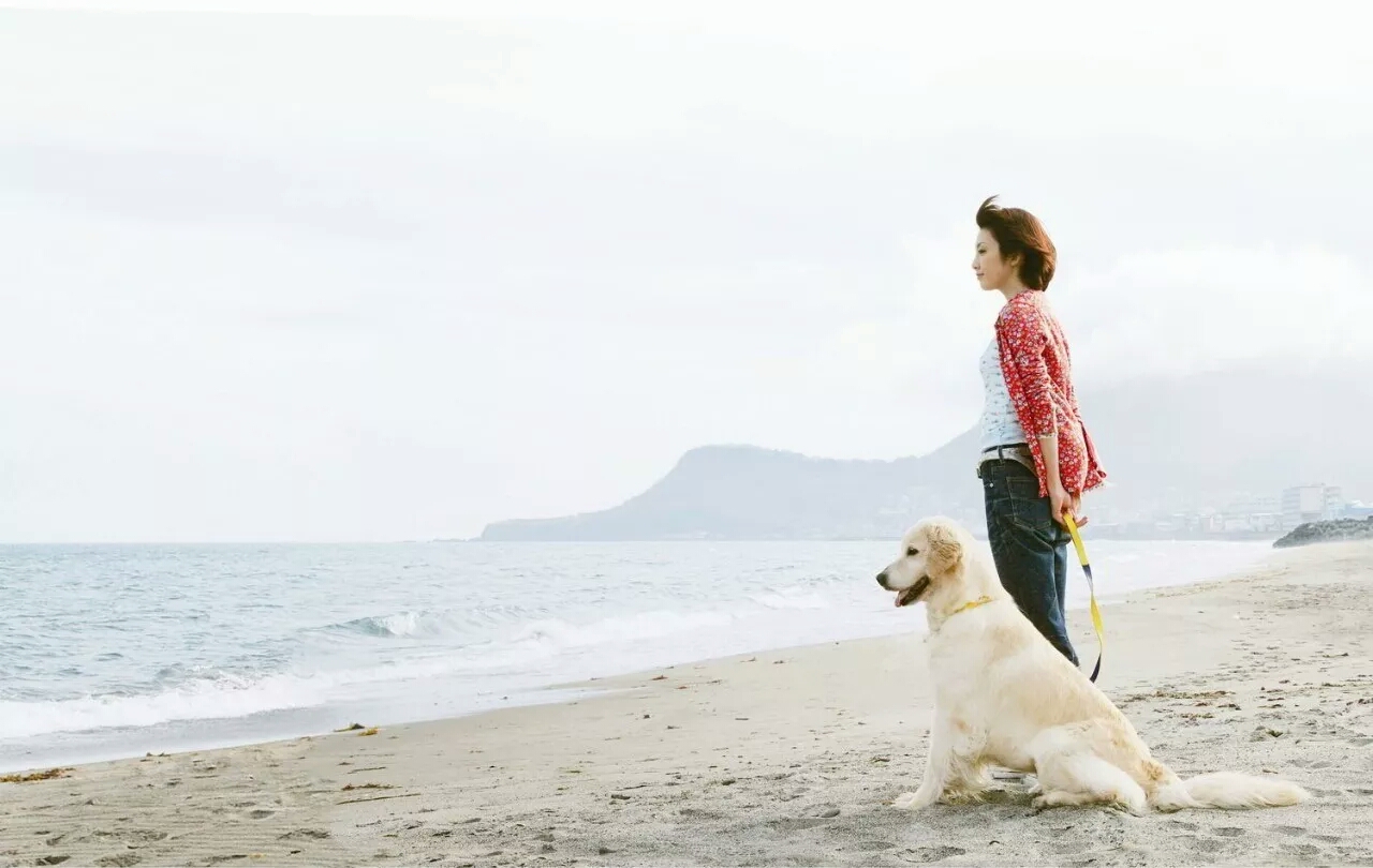 汪星人的电影完整版,十部不能错过的汪星人主题电影