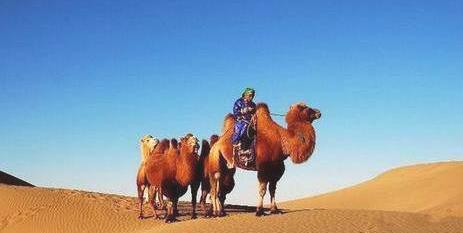 冷知识晚上饿着睡觉会变丑,冷知识饿着肚子睡觉会变丑