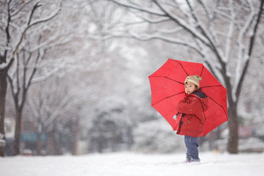 随风飞舞——雪花下武昌街头影像