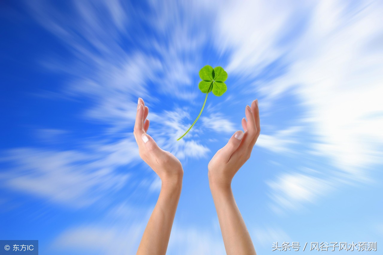 2022年狗年运势及运程1970女,2018年狗年十二生肖运程大总结