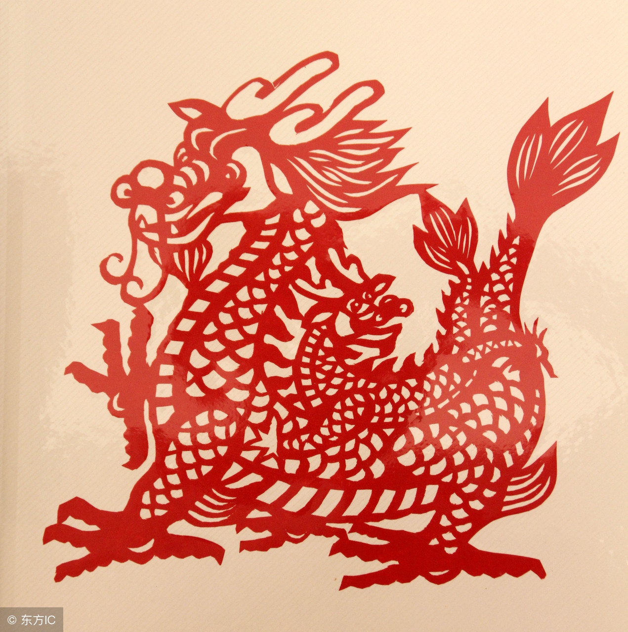 十二生肖有哪些大开眼界的经历,十二生肖中实话实说的生肖