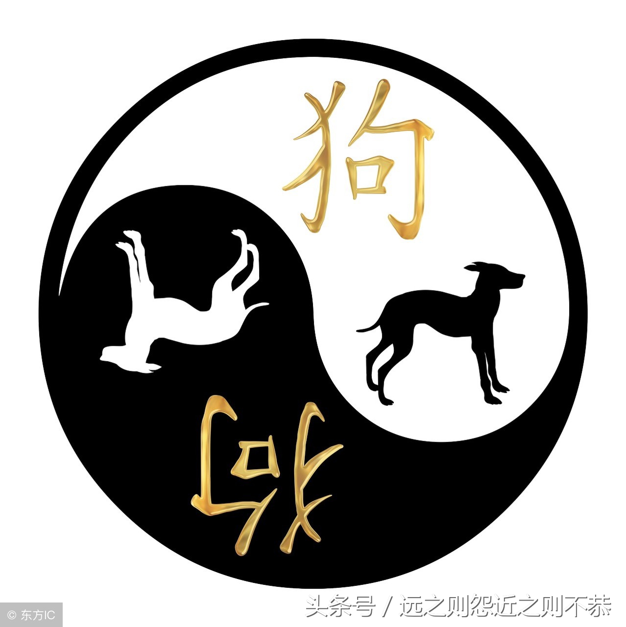 属狗人本命年运势2018,属狗人2018本命年运势