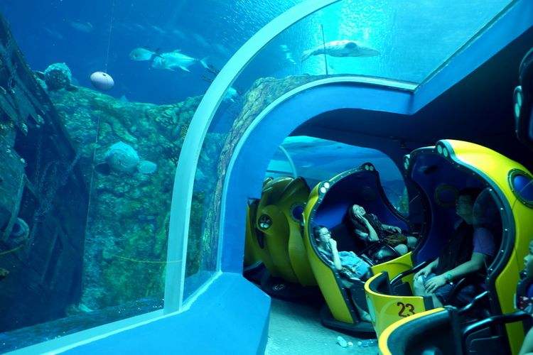 去珠海长隆海洋王国住哪里好,珠海长隆海洋王国烟花时间表