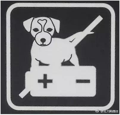 看门狗十大必备事情,看门狗开门锁