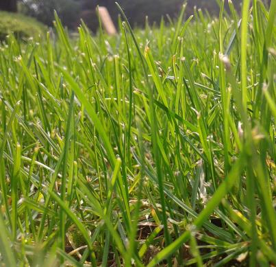 迎接新年的诗句有哪些呢,描写新年的诗句还有什么