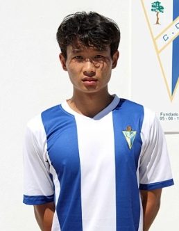 中国队组建一支历史最佳足球队,组建一支足球队都是从中冠开始吗