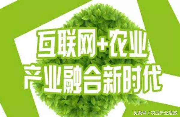 互联网行业都有哪些创业方向,农业互联网方面的创业该如何进行
