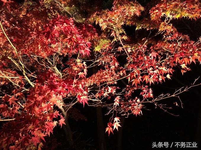 旅行|CoordinateBook06-No.535.0116°N,135.7680°E京都