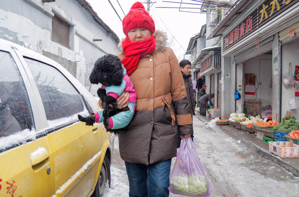 随风飞舞——雪花下武昌街头影像