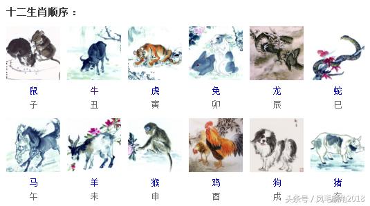 十二生肖中的狗和鼠哪个厉害,为什么要在十二生肖中排名第一