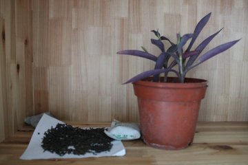 除甲醛｜误区太多，简单实用的四招搞定甲醛，环保专家推荐