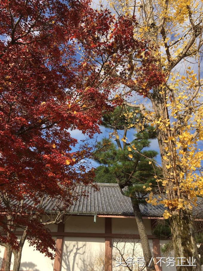 旅行|CoordinateBook06-No.535.0116°N,135.7680°E京都