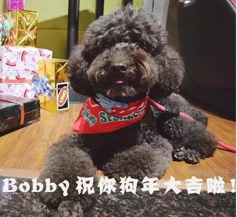 闲聊支付宝红包如何提现,支付宝一万元红包能提现多少