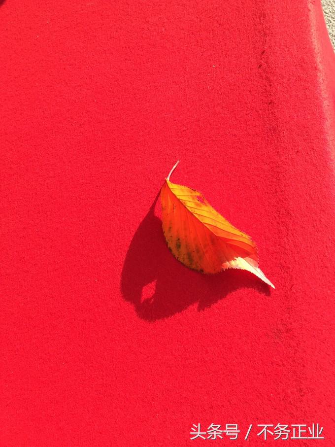 旅行|CoordinateBook06-No.535.0116°N,135.7680°E京都