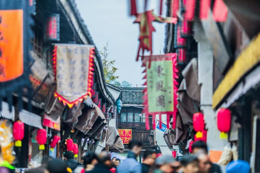 最年味丨赏花、看灯、游古镇！假期剩下两天，推荐周边出游好去处