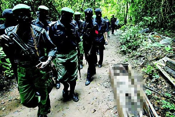 五脏六腑与其他策划的关系,五脏六腑都是独立的器官