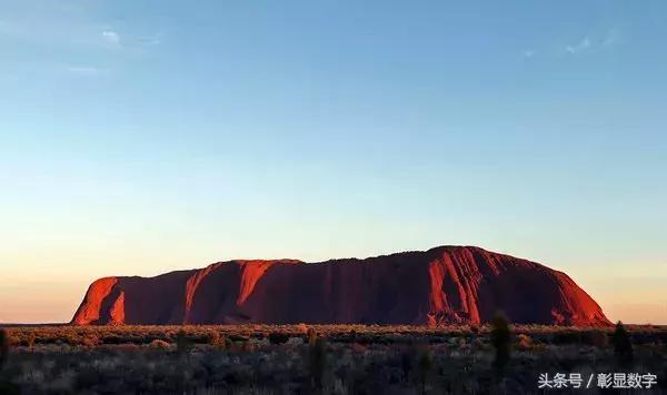 考拉是如何灭绝的,考拉是如何存活的