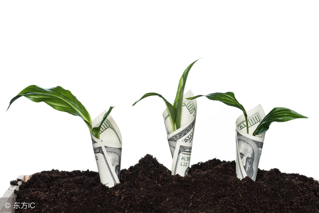 乐视涨停最新信息,乐视大涨