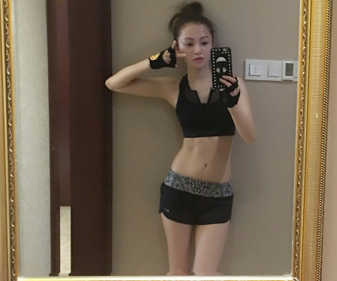 张韶涵粉丝队,歌手腾格尔华晨宇