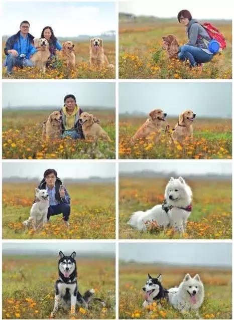 番禺农家乐一日游最佳地点,广州番禺亲子游农庄