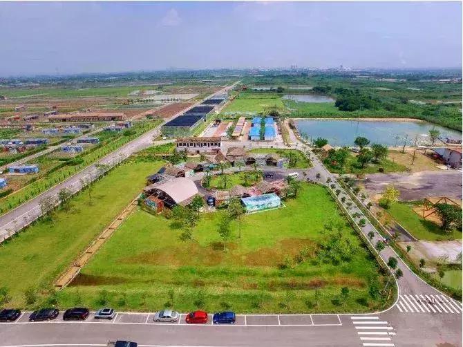 番禺农家乐一日游最佳地点,广州番禺亲子游农庄