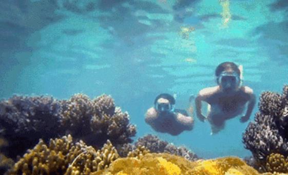 澳洲护照有什么待遇,澳洲对中国开放最新签证