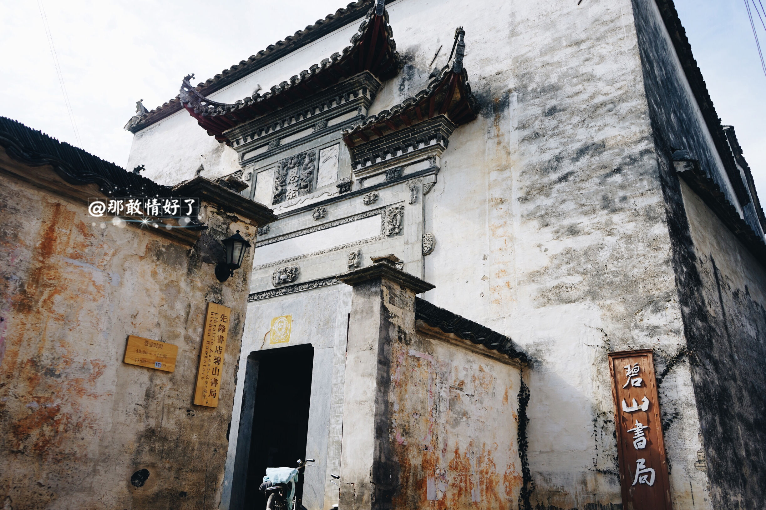 一家三口去南极旅行 (中国一家三口去南极旅游)