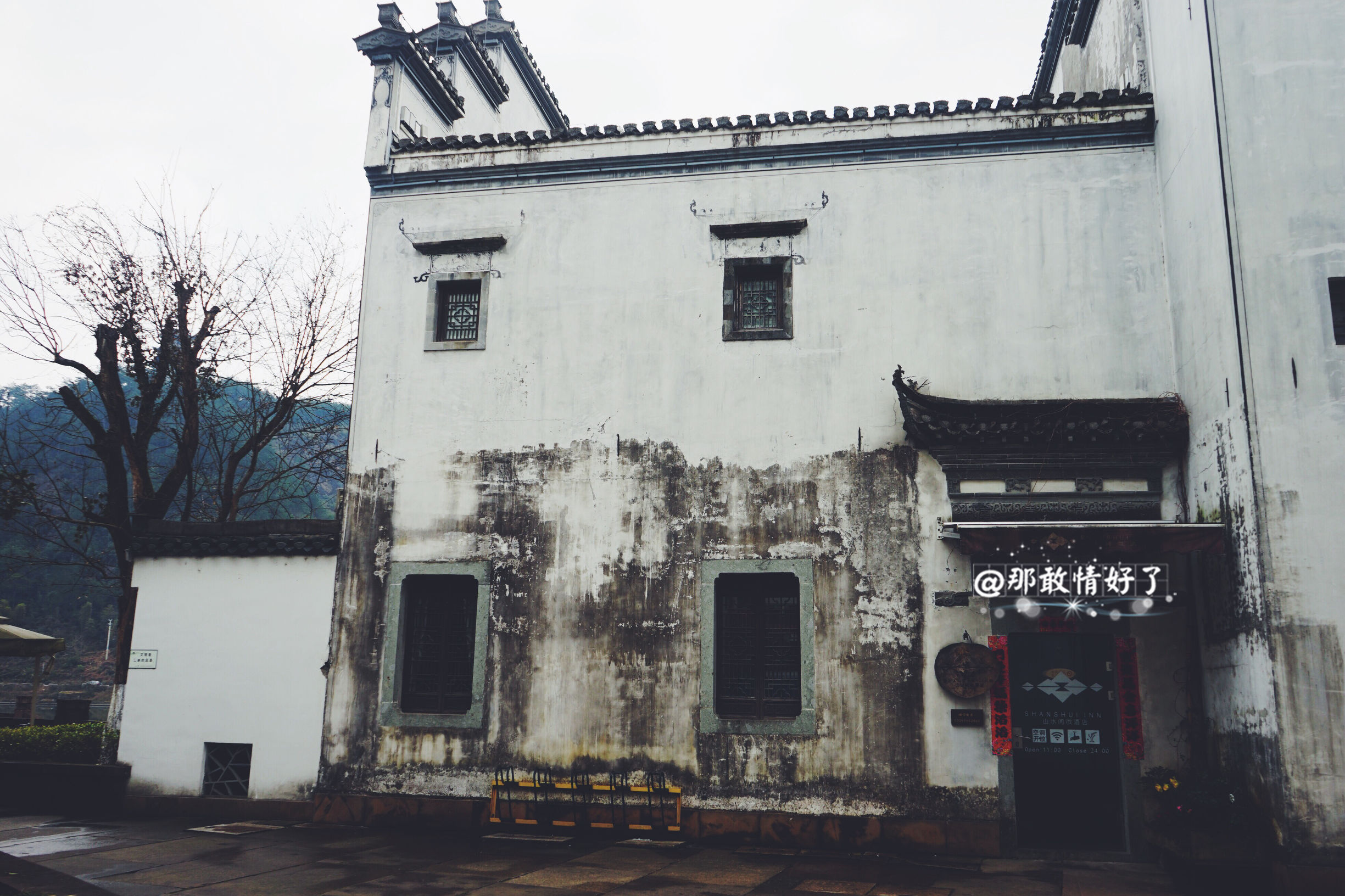 一家三口去南极旅行 (中国一家三口去南极旅游)