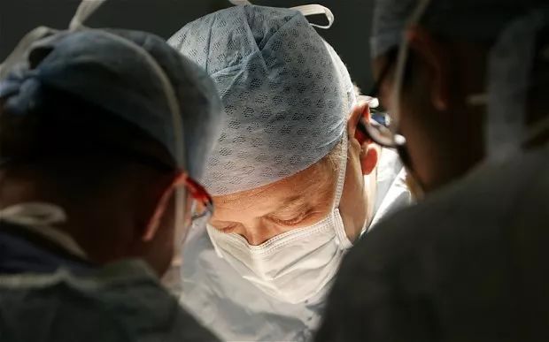 五脏六腑与其他策划的关系,五脏六腑都是独立的器官