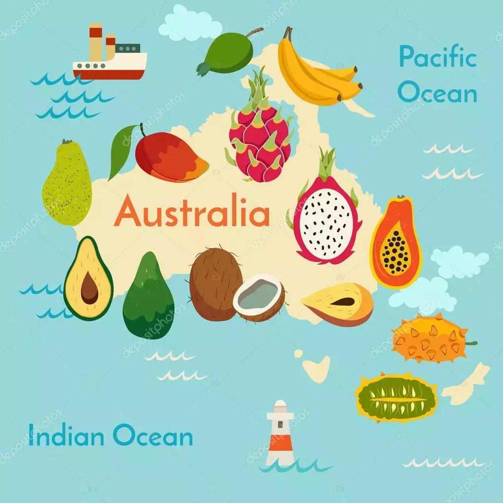 能减肥的水果燕麦,抗衰老防痴呆水果