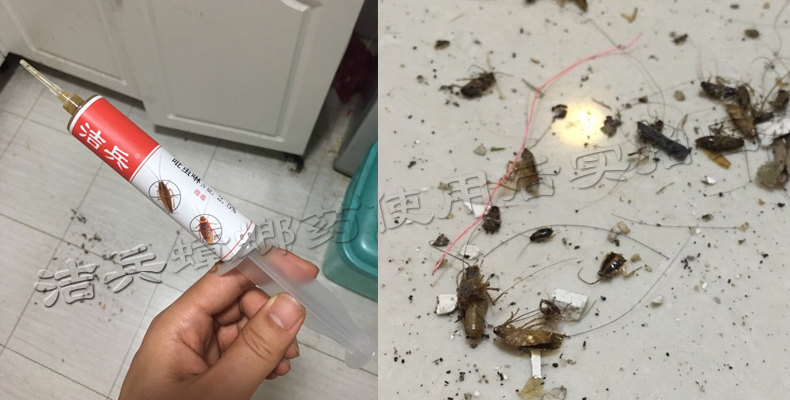 什么品牌蟑螂药好用,什么品牌蟑螂药好使又安全