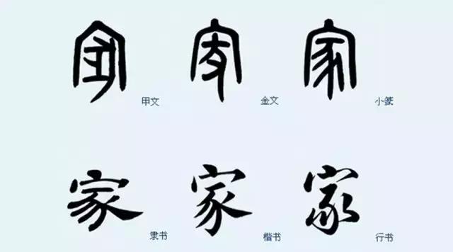 亥时生肖猪的命运,明年特别旺的属相猪