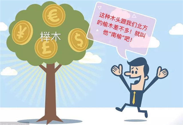 老榆木和新榆木区别大吗,老榆木与新榆木如何分辨真假图片