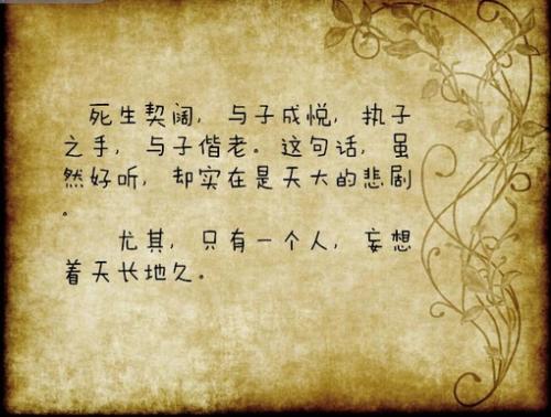 一树一花一菩提歌曲,一树一花菩提树下