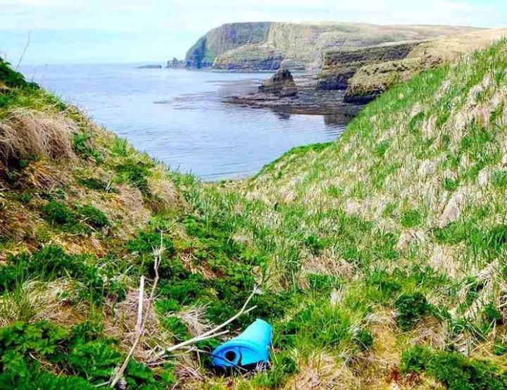 若干年北极可能不再有海鸟，罪魁祸首是塑料，你们有什么好的建议