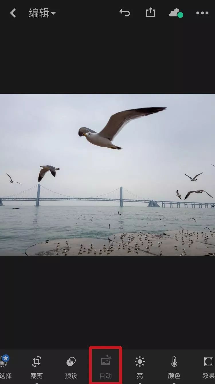 如何用snapseed提高画质,比snapseed还好用