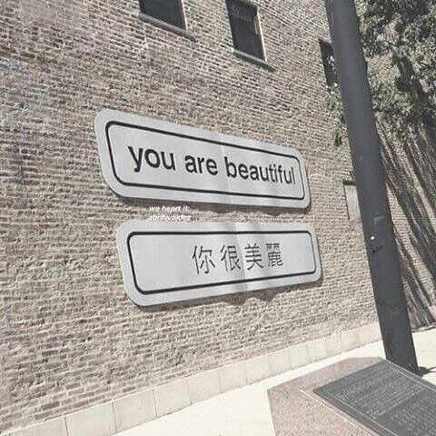 套路对象是猪的情话,撩你家猪的情话