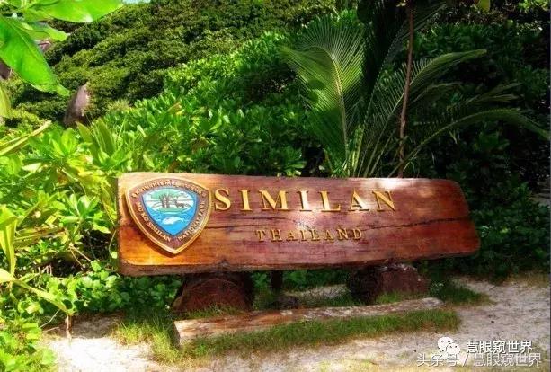 泰国斯米兰岛潜水,泰国斯米兰群岛潜水