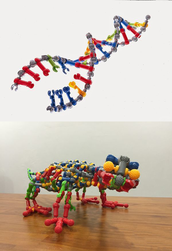 什么玩具适合儿童分享型玩具,有意思的0-3岁儿童玩具推荐