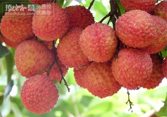 广东特点美食小吃推荐,广东各地特点美食小吃